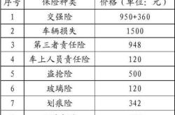 小汽车全险年费价格解析