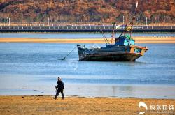 天津赶海最佳地点