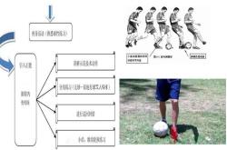 足球初学者要学什么