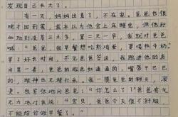 5我的留学文书润色修改幅度很大 基本重写了