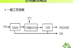 西陇科学引领环境科技的创新先锋