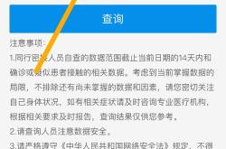 支付宝新功能揭秘毛发自测工具如何助你一臂之力