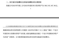 目药公司从退市风险警示到其他风险警示的过渡与展望