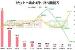 华统股份生猪销售收入环比增长行业复苏与公司战略的协同效应