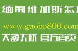 达晨财智电广传媒旗下基金的资本运作与投资策略