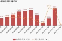 京东方上半年净利润预计超亿分析报告