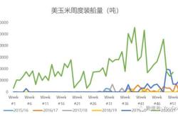 探讨飓风对市场影响的几何效应