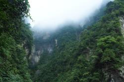 三清山，位于江西省上饶市，是中国著名的道教名山之一，以其奇特的花岗岩峰峦、丰富的生态资源和深厚的道教文化而闻名。每年吸引着来自世界各地的众多游客。然而，近日，一段关于三清山游客在冷风中排队齐喊退票的视频在网络上引起了广泛关注。