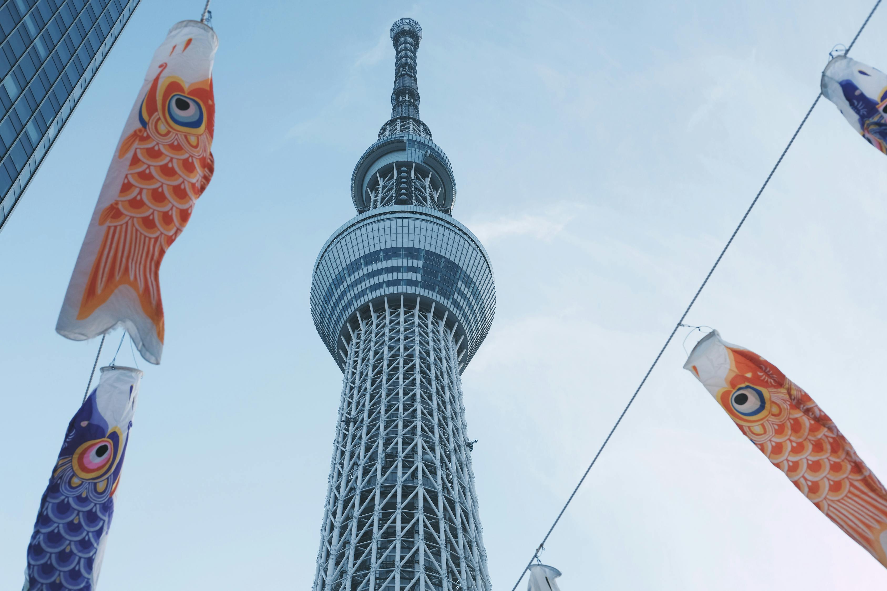 探索古都魅力，从石家庄到西安的穿越之旅