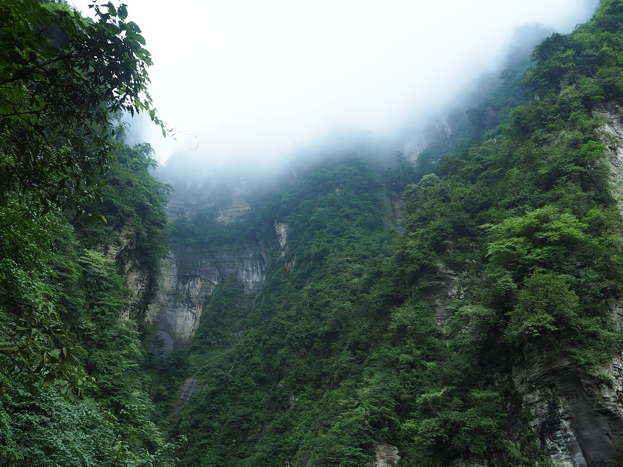 三清山，位于江西省上饶市，是中国著名的道教名山之一，以其奇特的花岗岩峰峦、丰富的生态资源和深厚的道教文化而闻名。每年吸引着来自世界各地的众多游客。然而，近日，一段关于三清山游客在冷风中排队齐喊退票的视频在网络上引起了广泛关注。