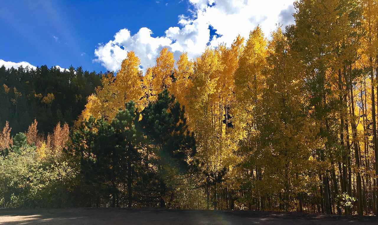 清明时节，诗与远方——探寻古诗词中的清明情怀