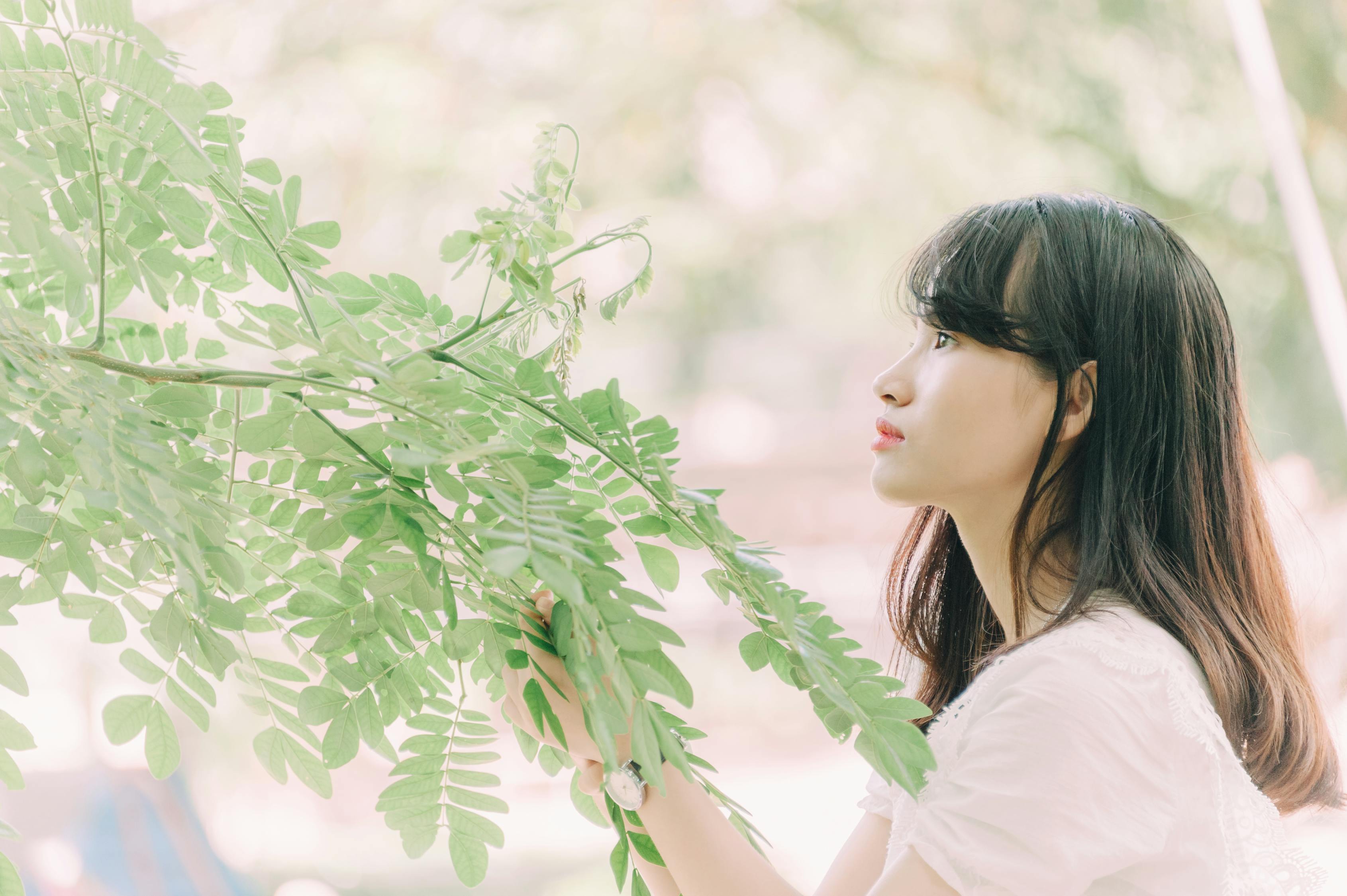 古往今来，那些流传千年的美丽诗句