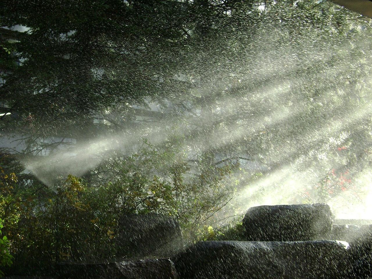 雨过山村—一幅诗意田园画卷的解读与赏析